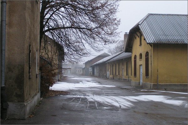 P1010005.JPG