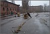 P1010096.JPG