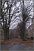 P1010209.JPG